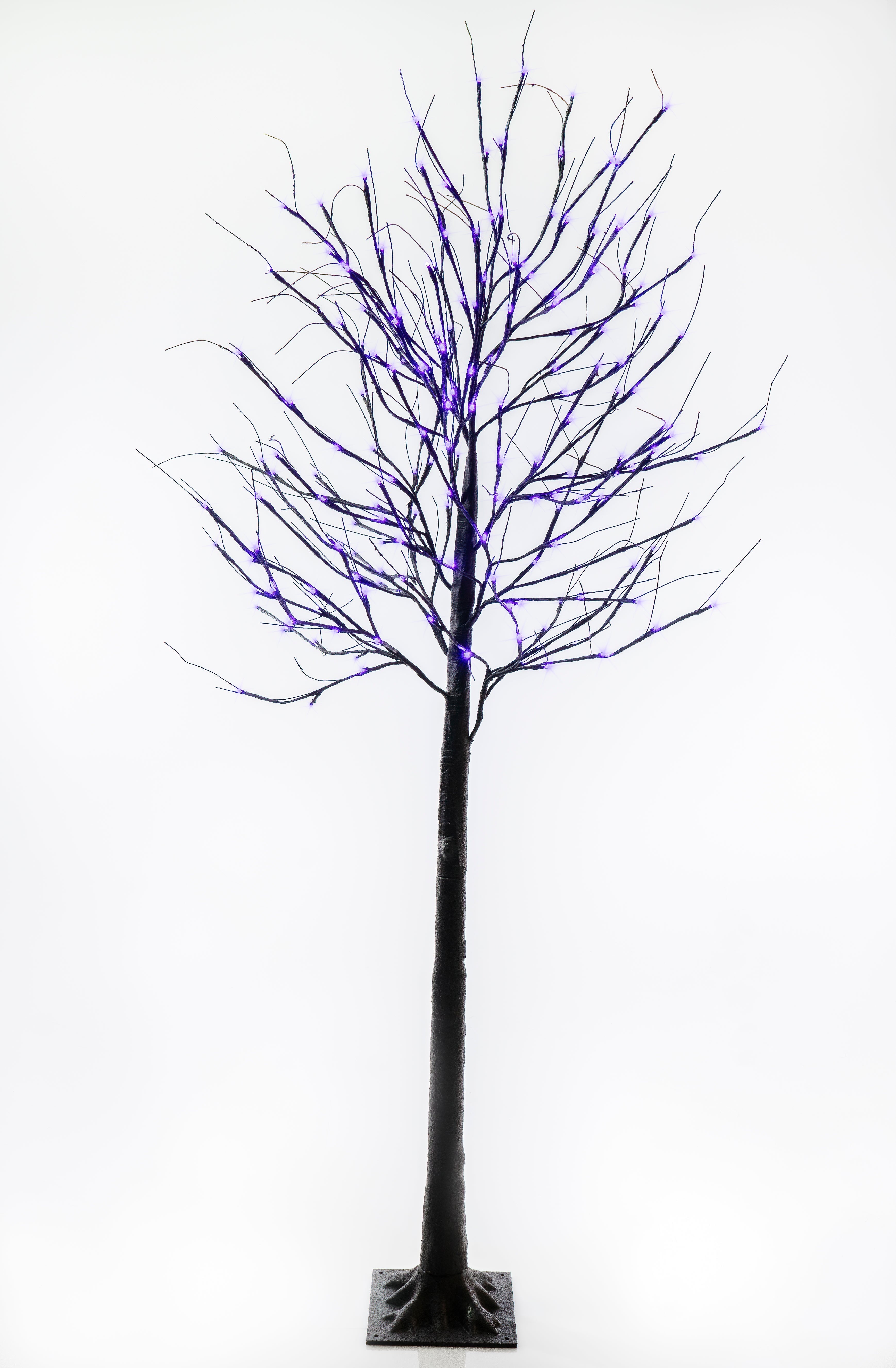 Black Birch Tree Lights for Christmas 6'