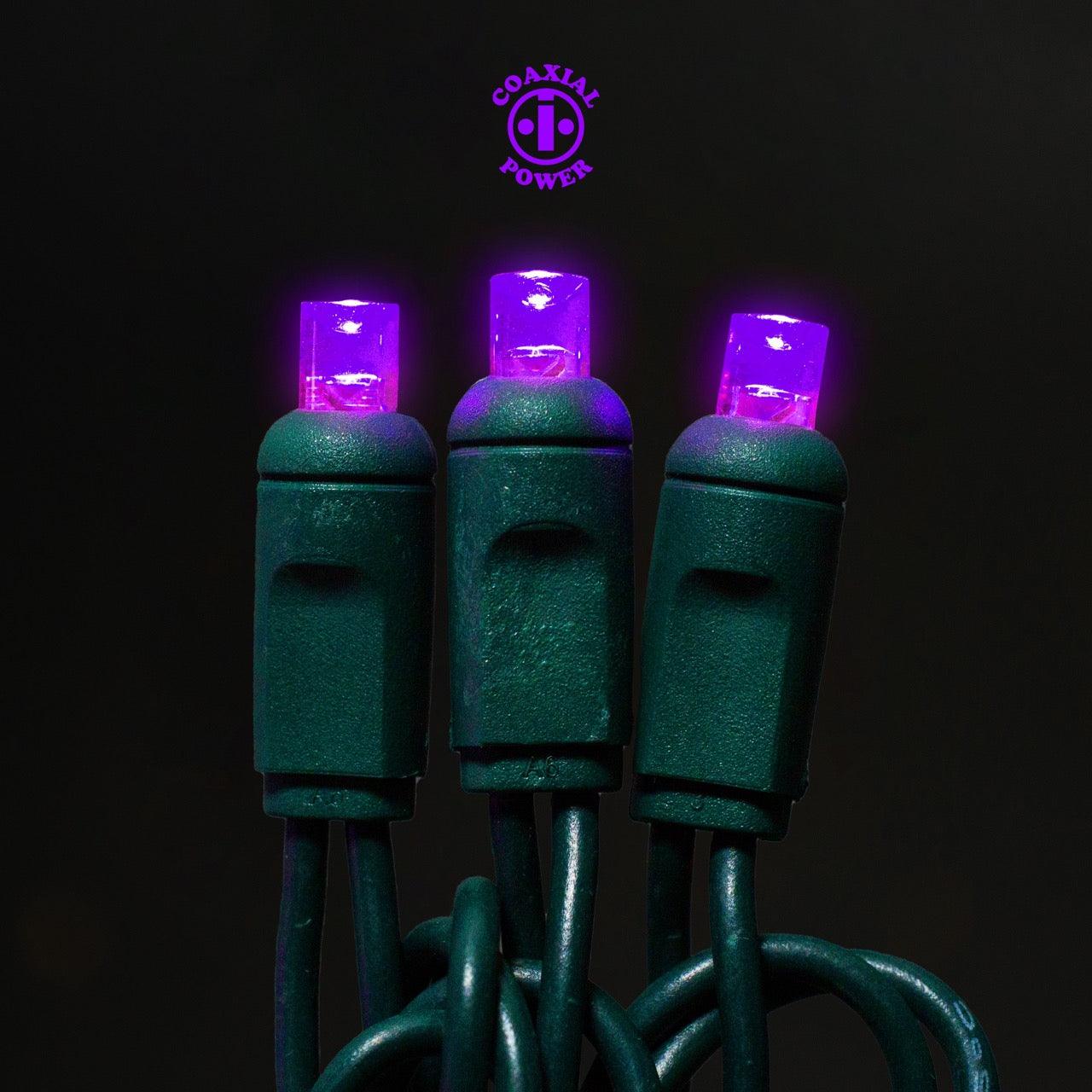 5mm Light Set 50ct Balled- 6" Spacing (Coaxial) (GW) Light Sets Lights for Christmas Purple