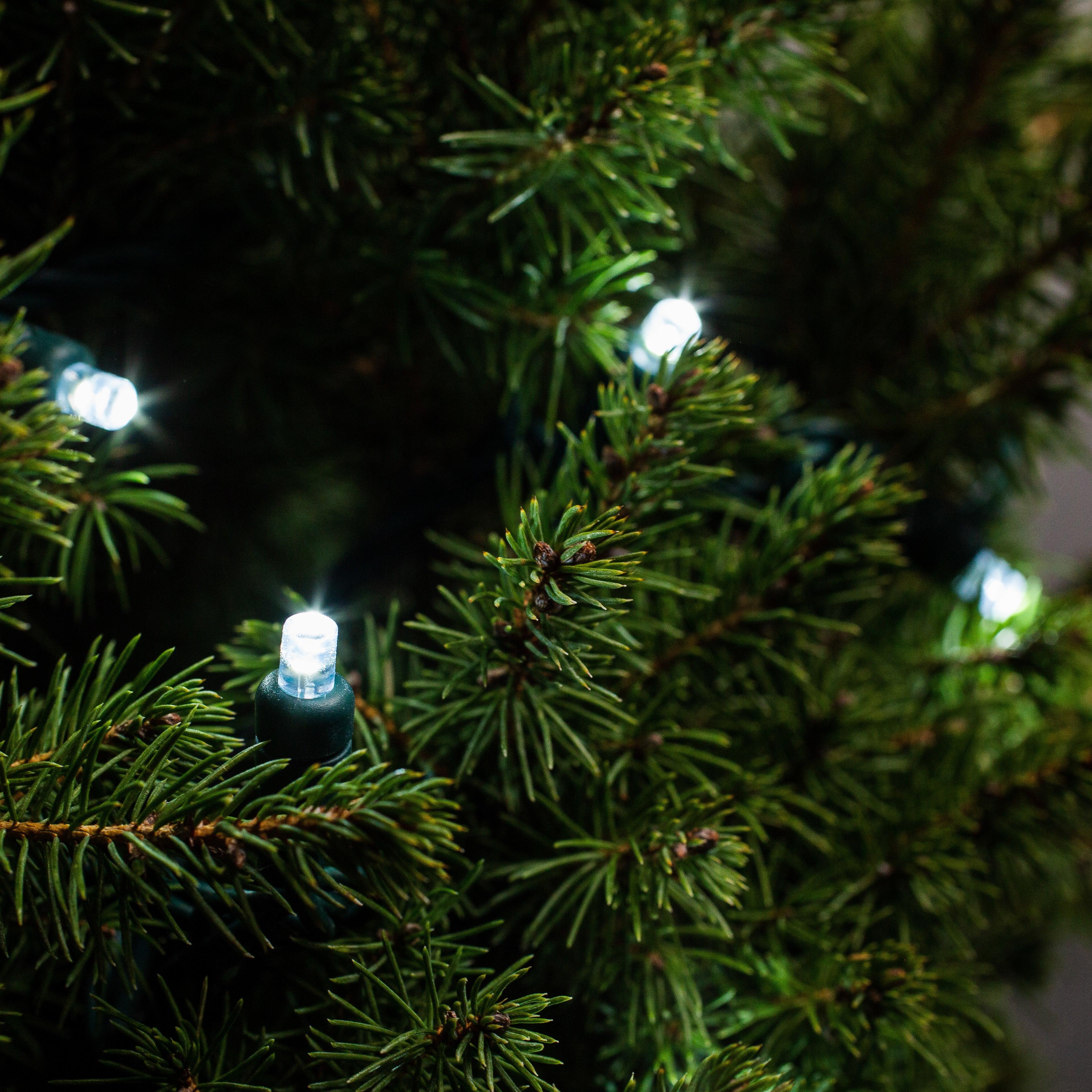 5mm Light Set 50ct Balled-6" Spacing (GW) Light Sets Lights for Christmas