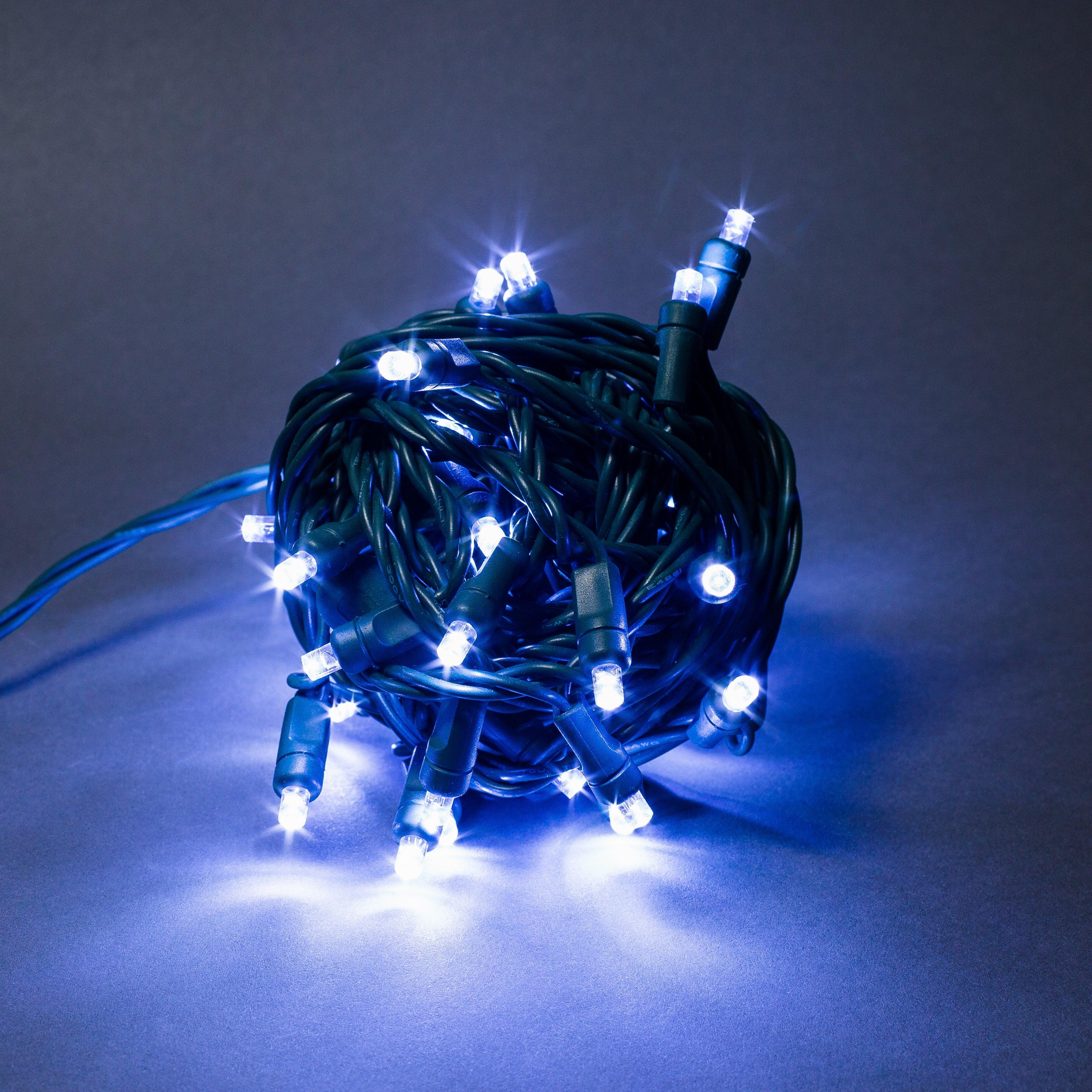 5mm Light Set 50ct Balled-6" Spacing (GW) Light Sets Lights for Christmas