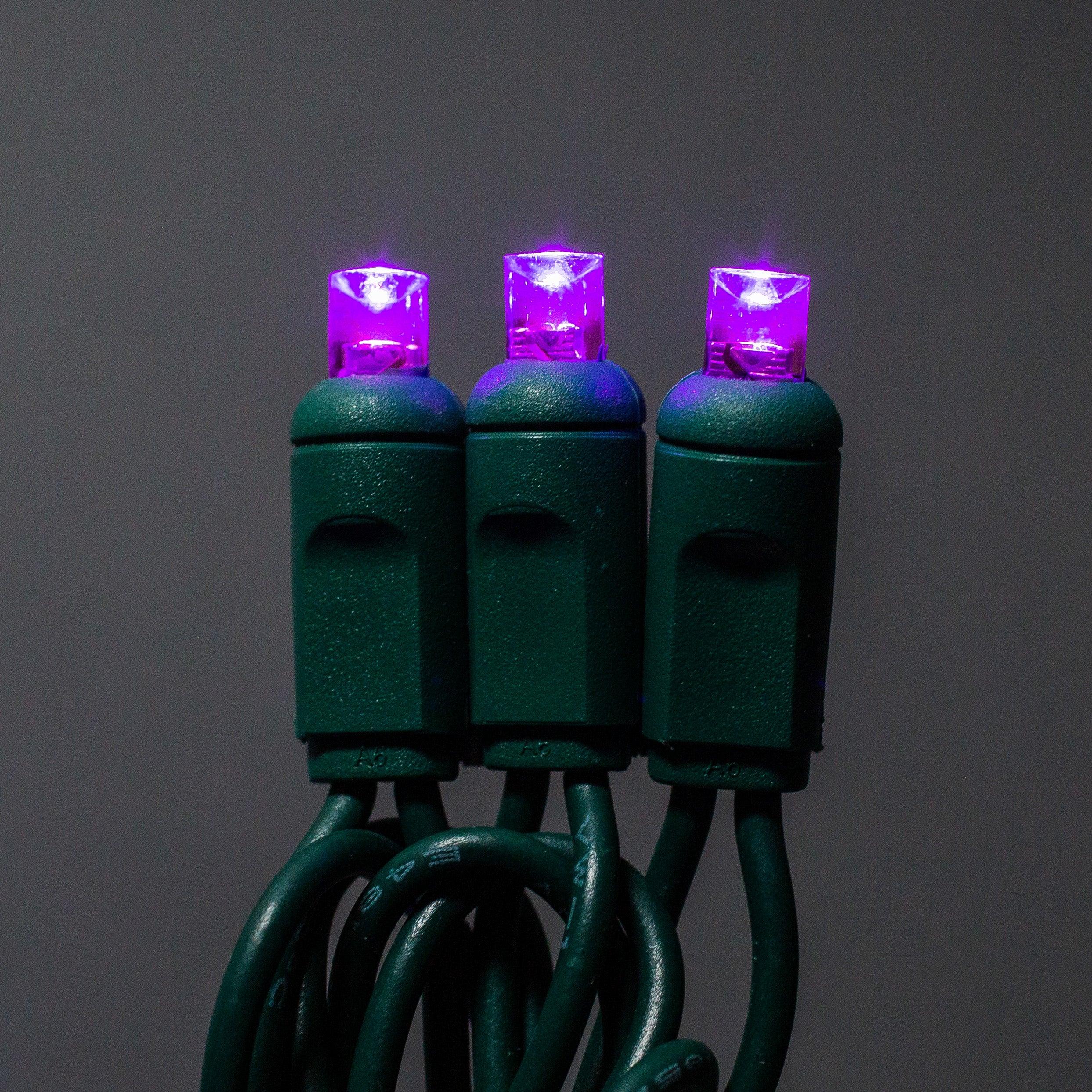 5mm Light Set 50ct Balled-6" Spacing (GW) Light Sets Lights for Christmas Purple
