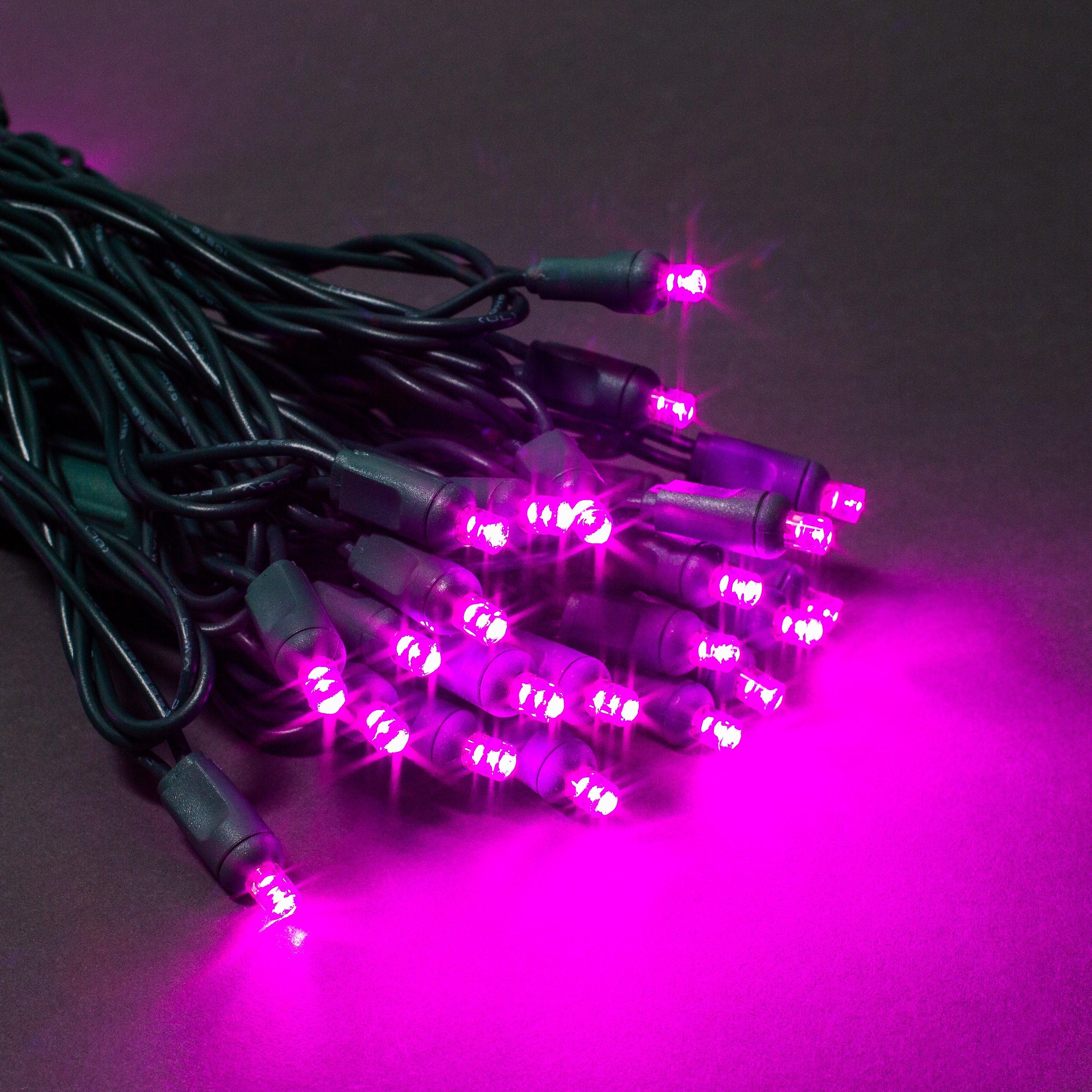 5mm Light Set 70ct Balled-4" Spacing (GW) Light Sets Lights for Christmas