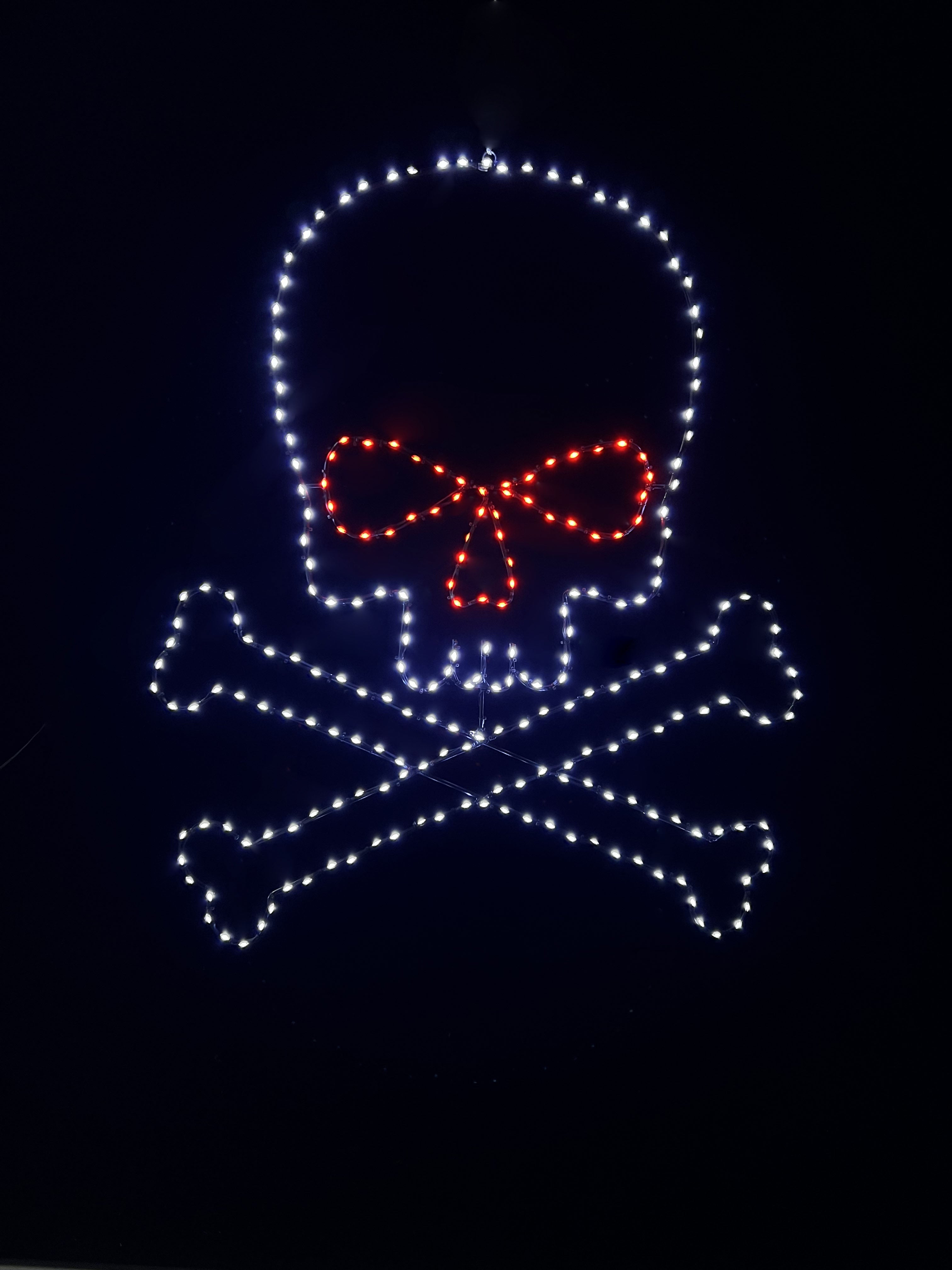 Pirate Skull Wire Decor - 36" Lights for Christmas
