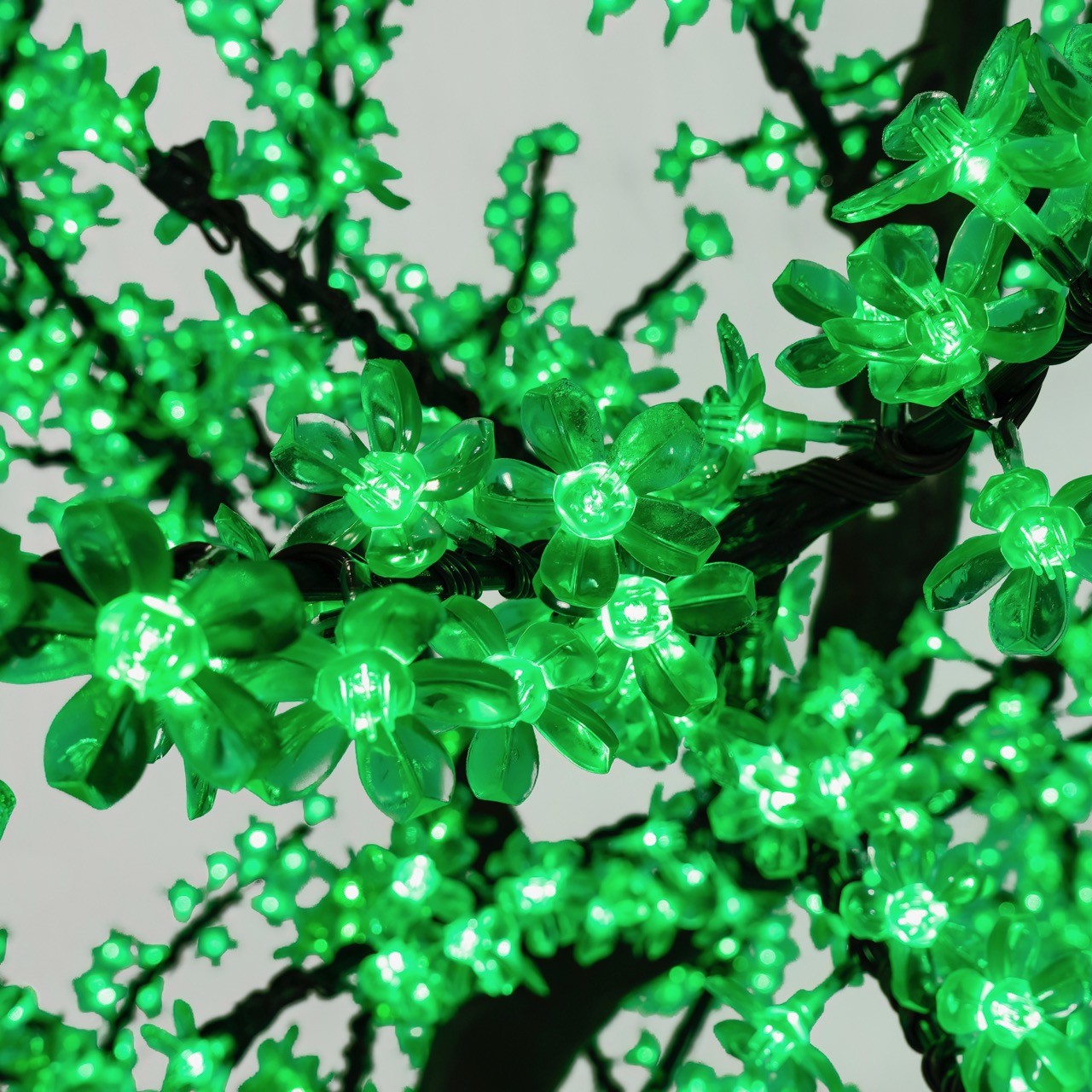 Cherry Tree Trees Lights for Christmas