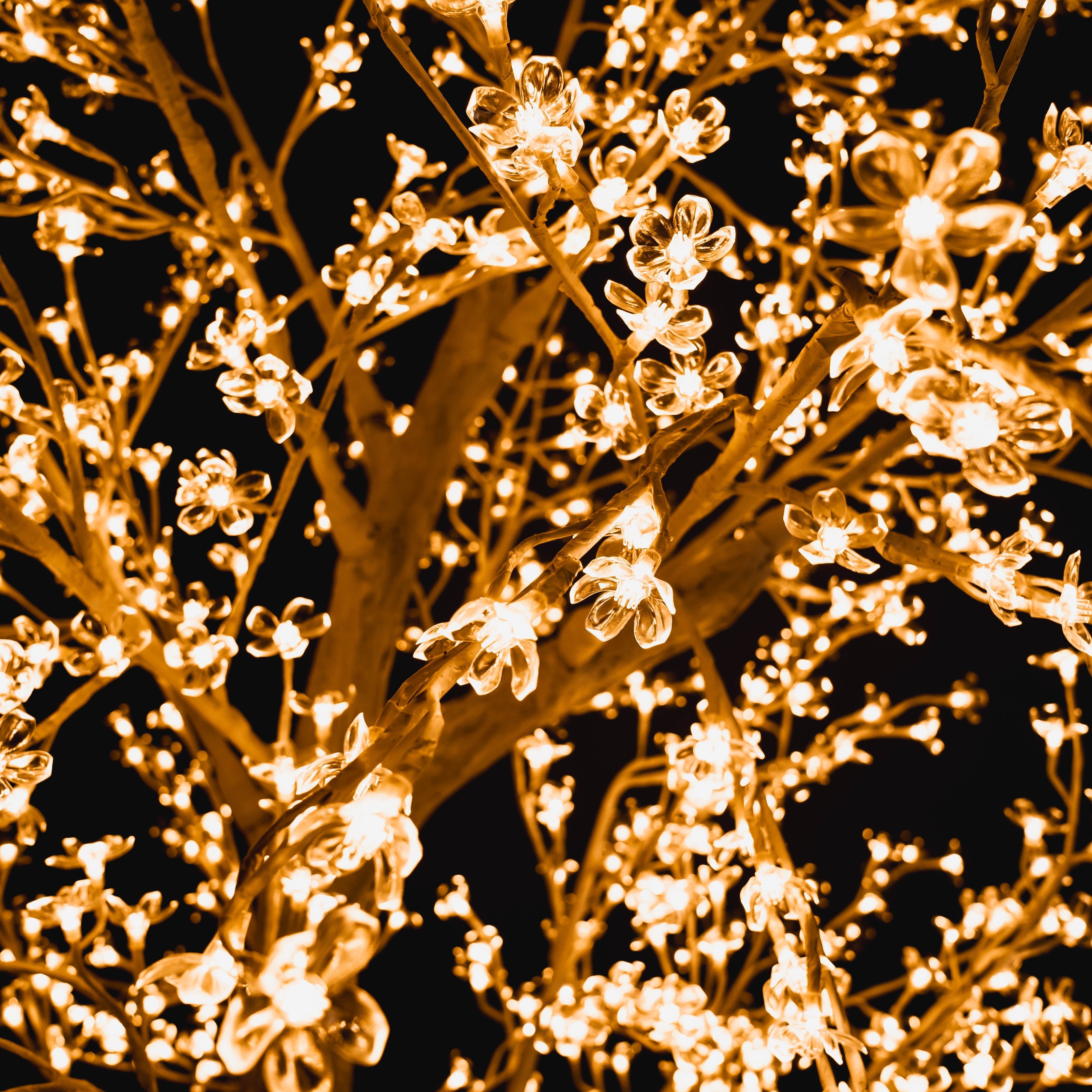 Cherry Tree - Warm White on White Trunk Trees Lights for Christmas