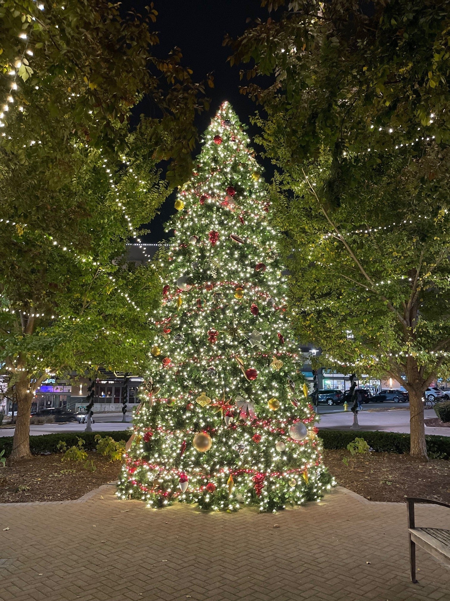 Commercial Tower Tree Trees Lights for Christmas