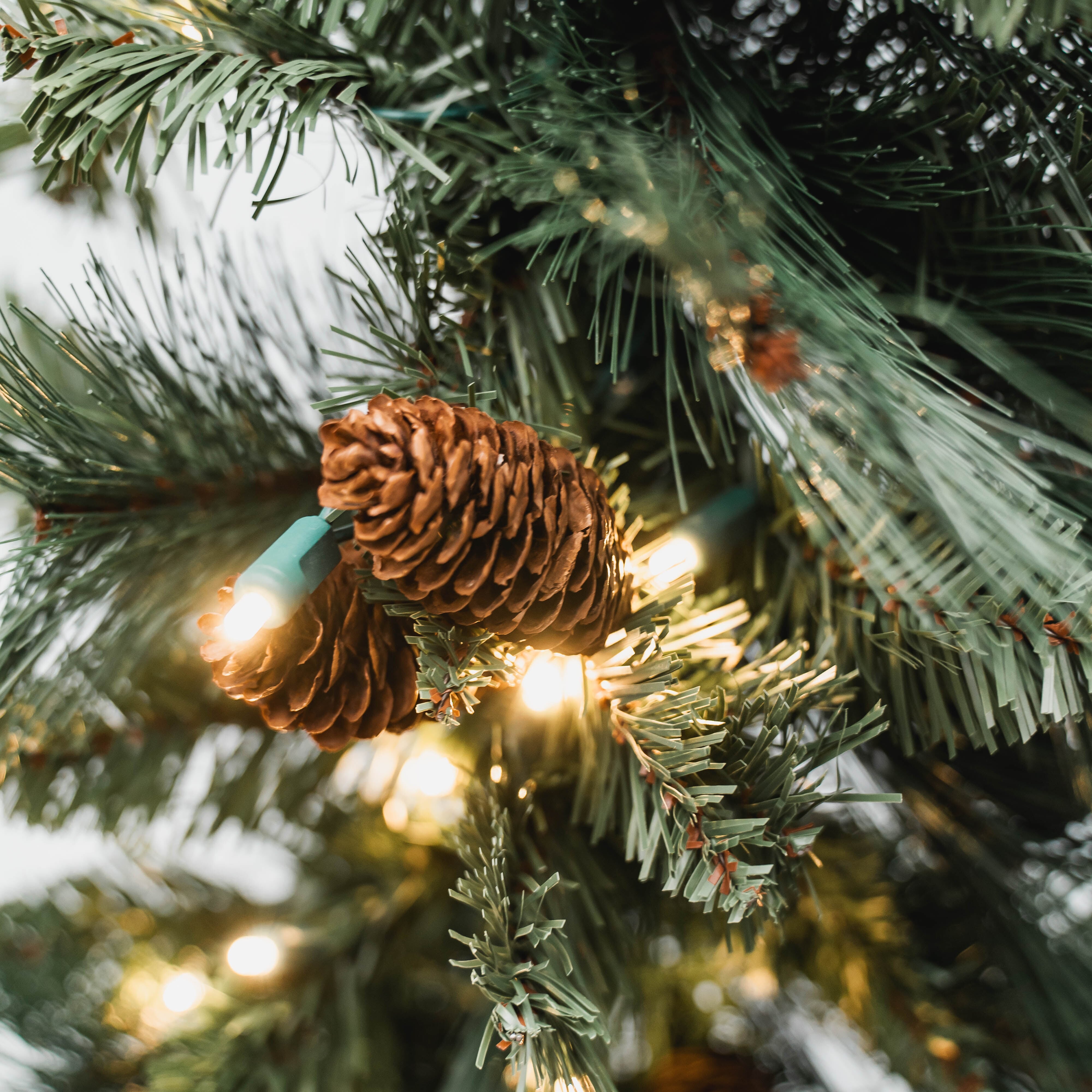 Mixed Evergreen Garland Wreaths & Garland Lights for Christmas