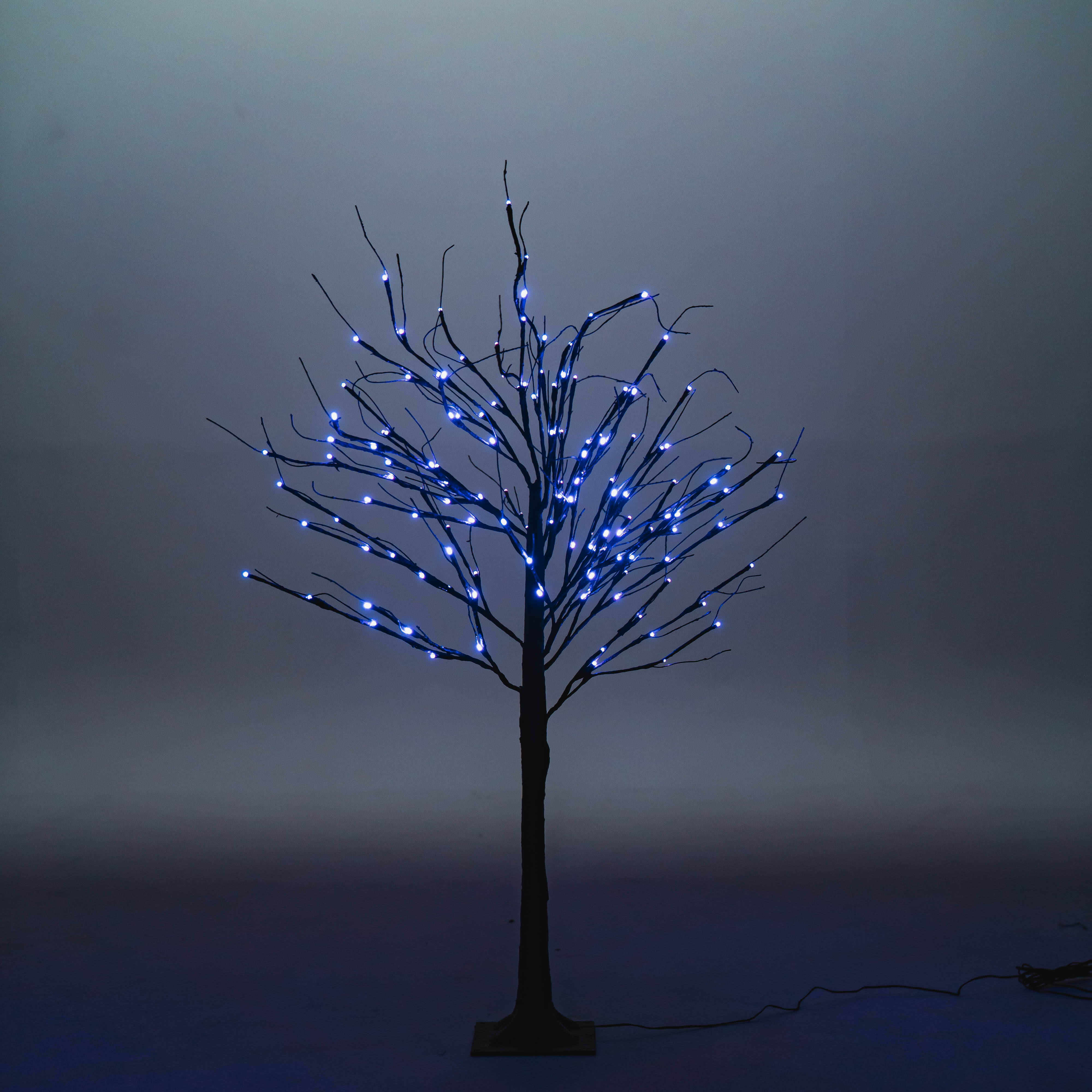 Black Birch Tree Lights for Christmas 