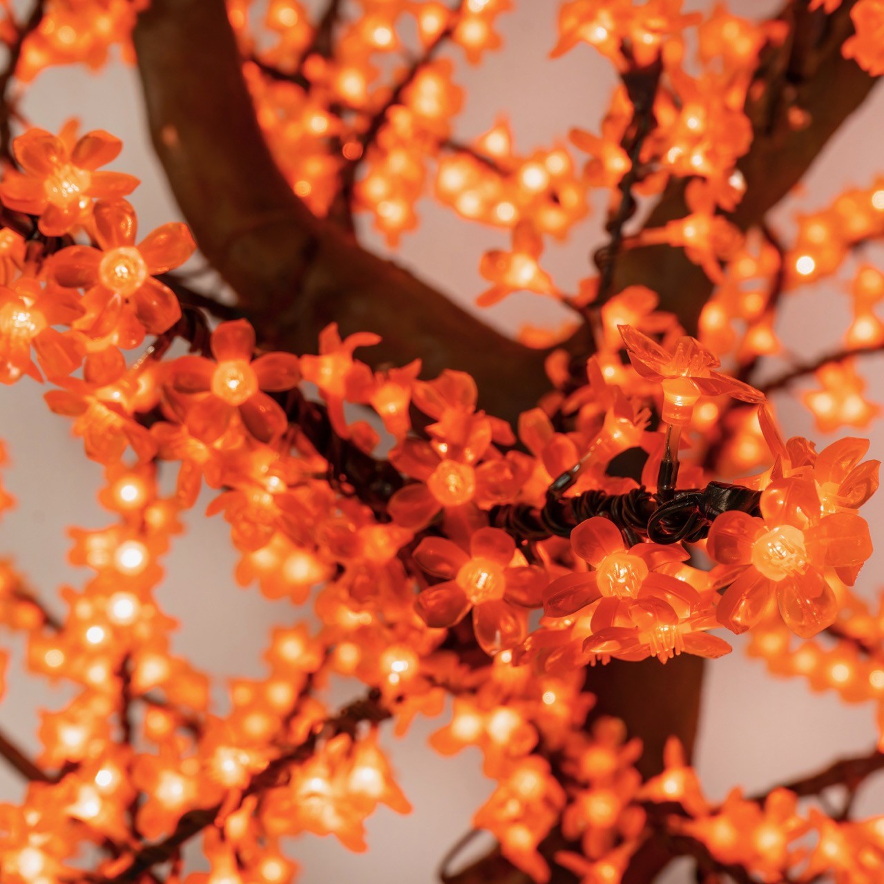 Cherry Tree Trees Lights for Christmas 