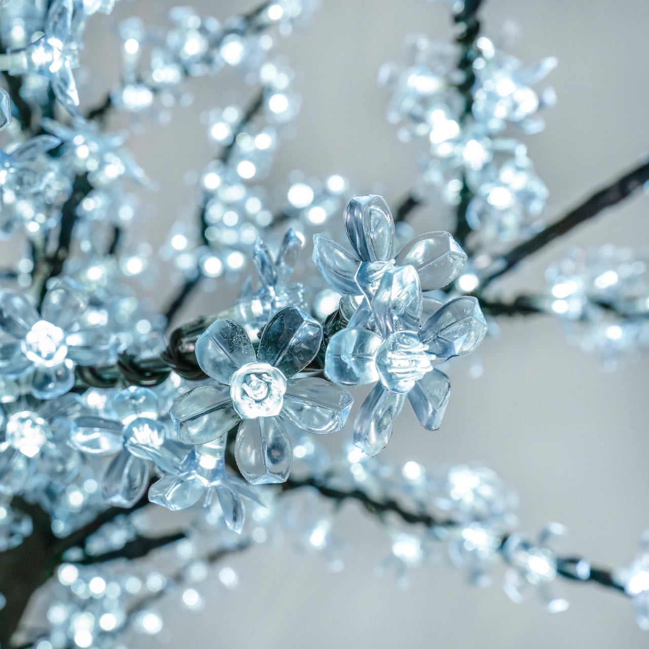 Cherry Tree Trees Lights for Christmas 