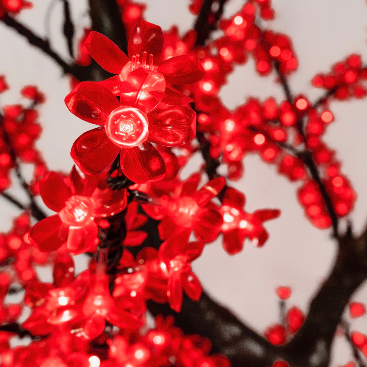 Cherry Tree Trees Lights for Christmas 