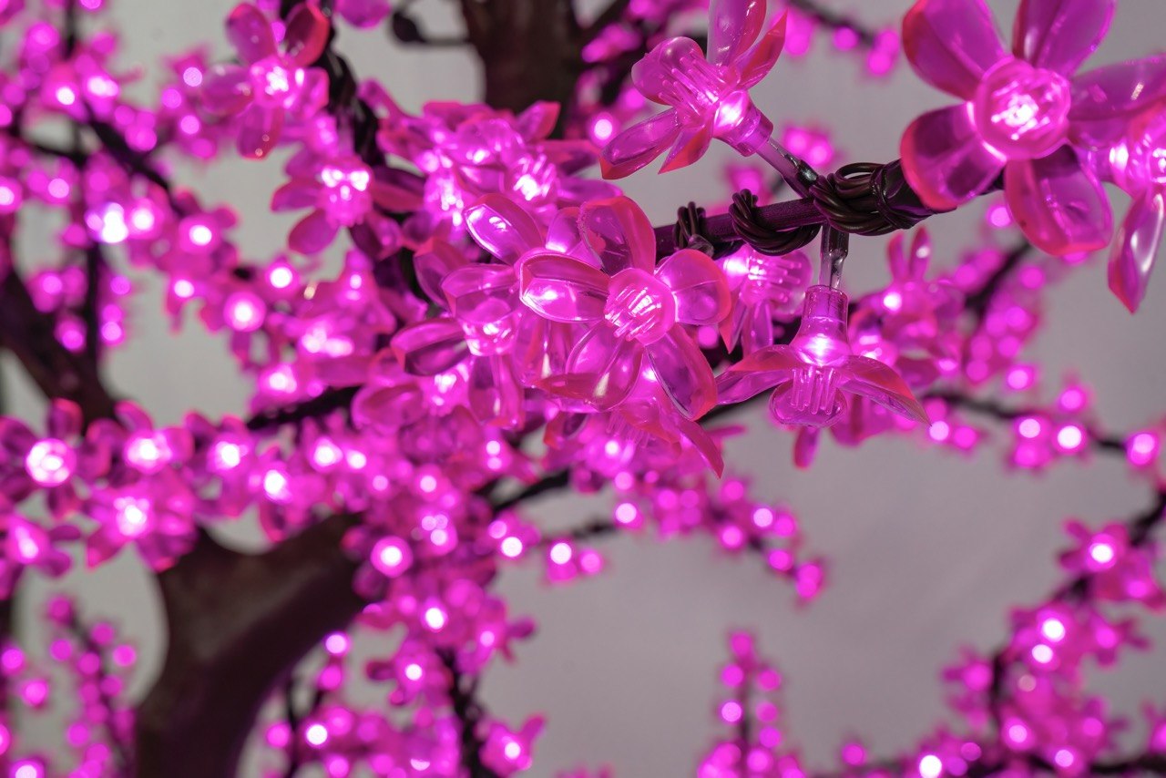 Cherry Tree Trees Lights for Christmas 