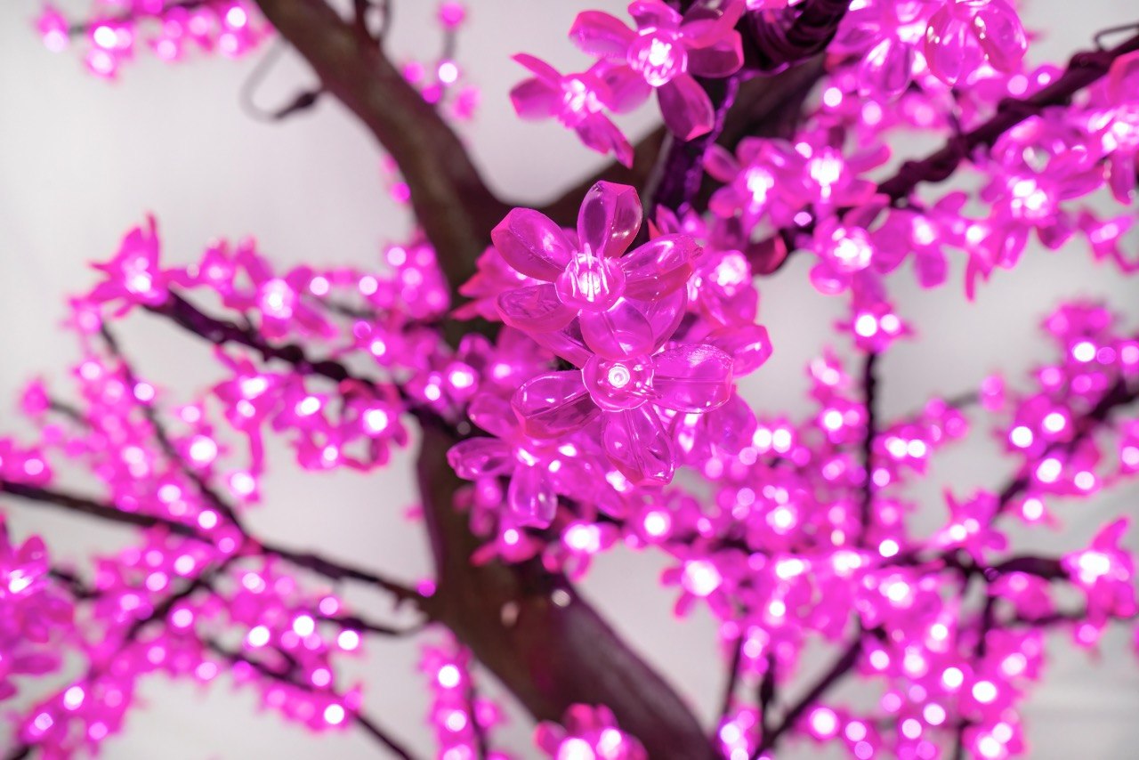 Cherry Tree Trees Lights for Christmas 