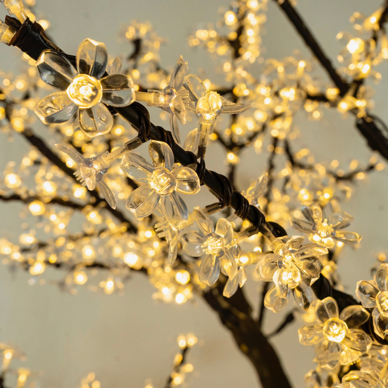 Cherry Tree Trees Lights for Christmas 