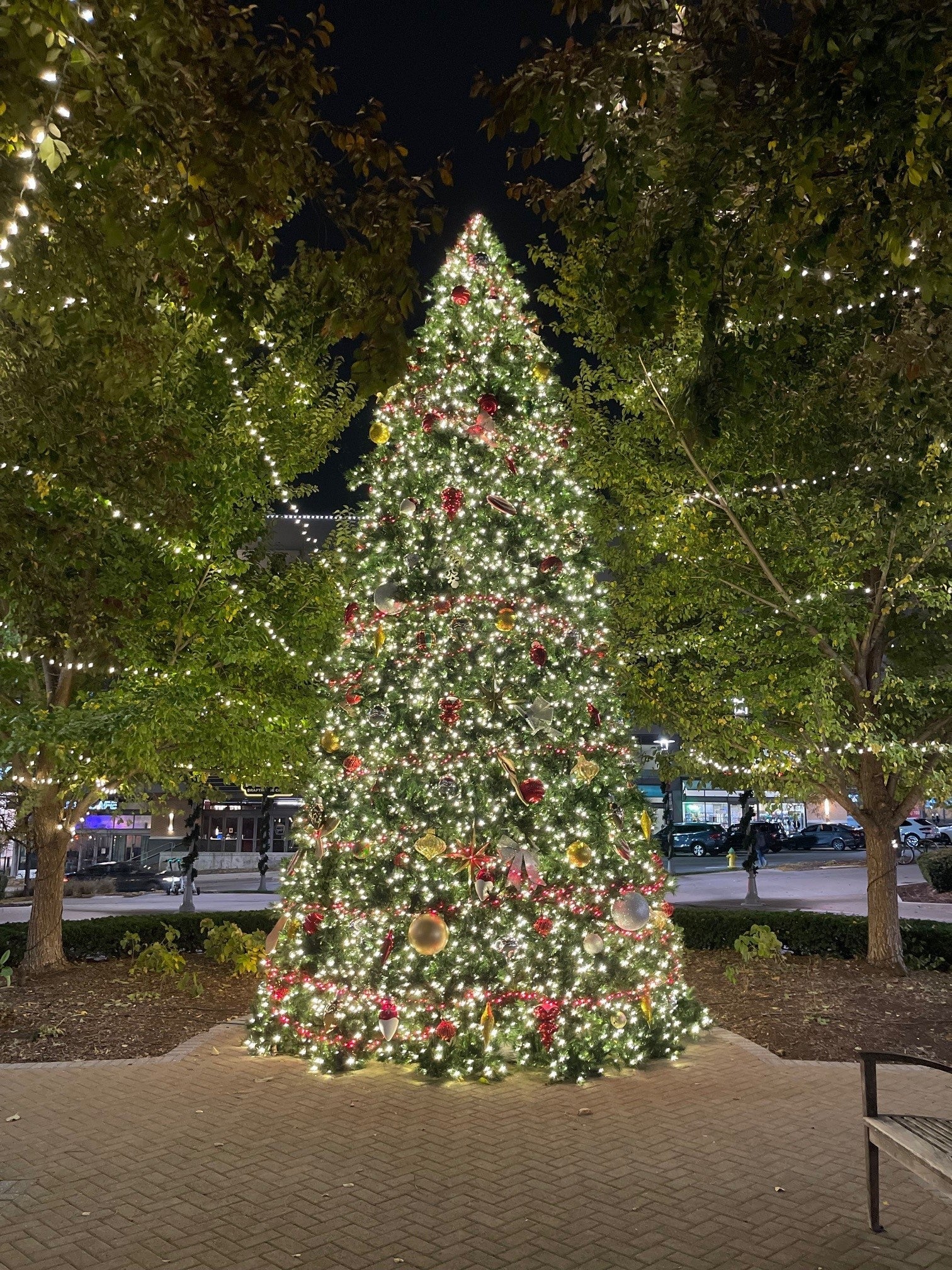 Commercial Tower Tree Trees Lights for Christmas 