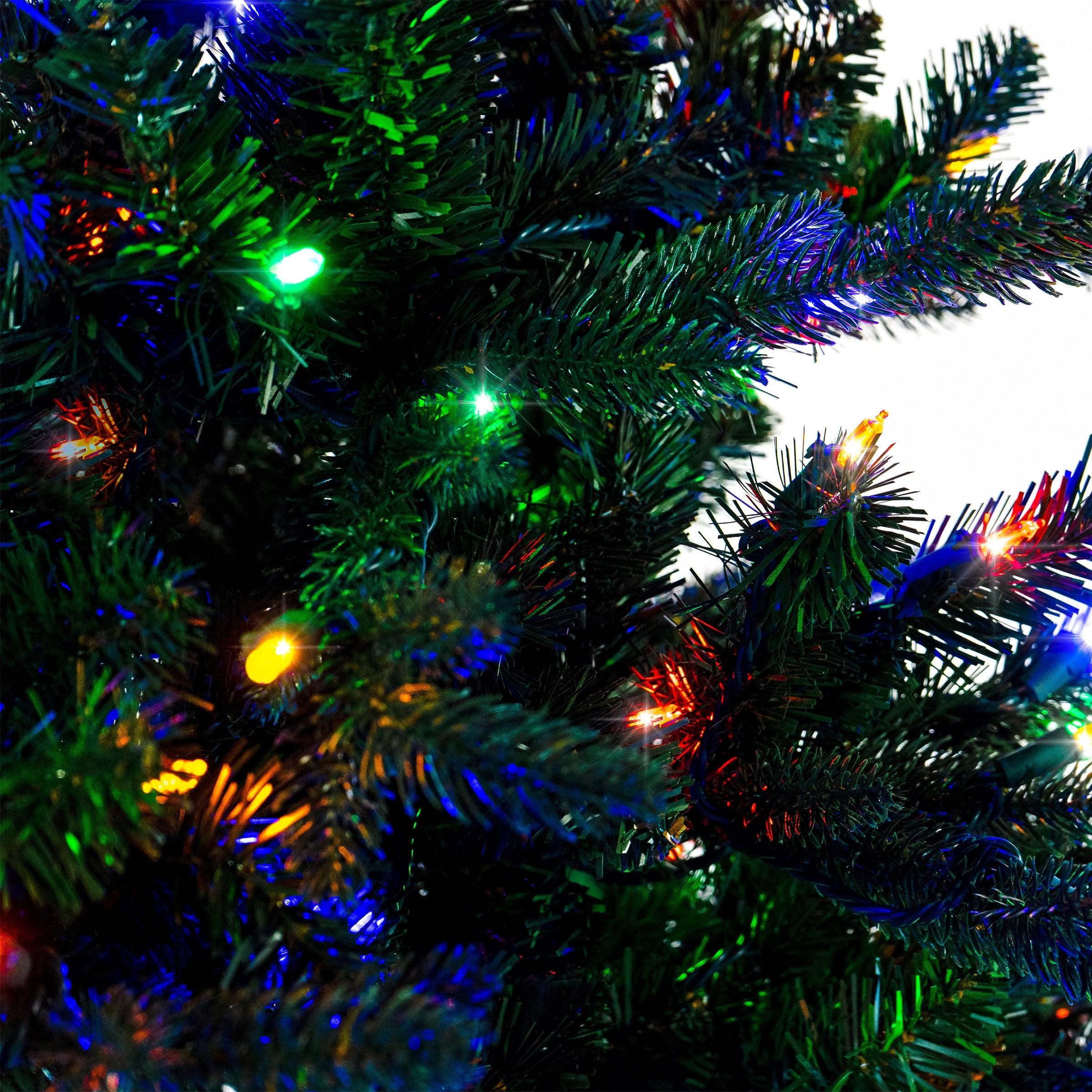 Noble Fir Christmas Tree Trees Lights for Christmas 