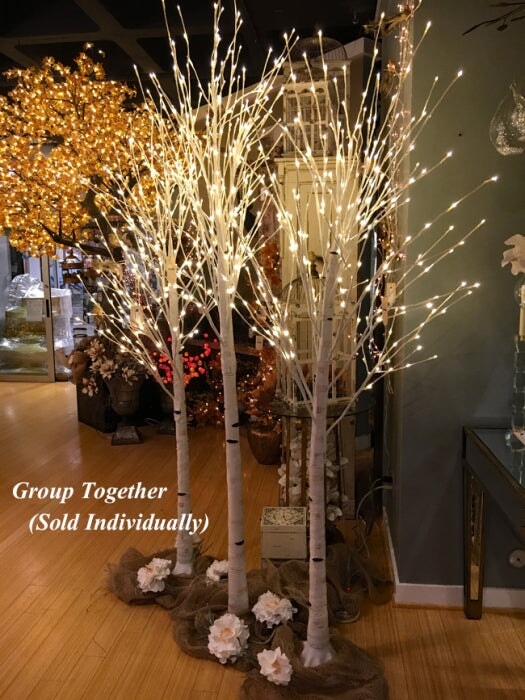 White Birch Tree Trees Lights for Christmas 